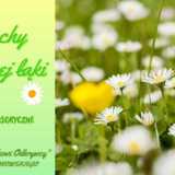 Green & Yellow Minimalist Spring is in the air facebook cover template - 1